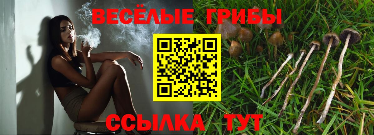 Псилоцибиновые грибы MAGIC MUSHROOMS  Вход с VPN  Зима  Псилоцибиновые грибы Magic Shrooms 